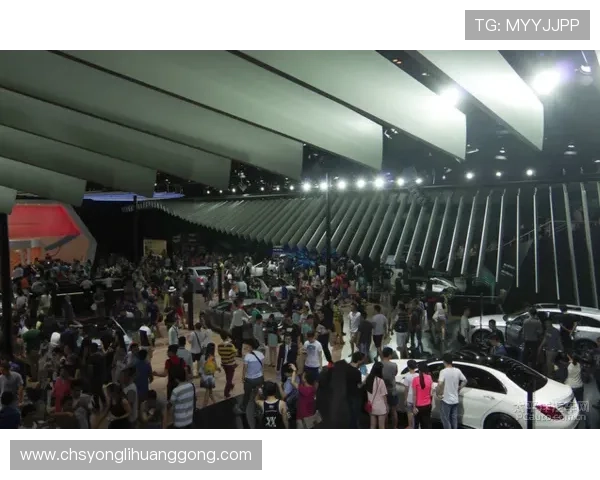 永利国际官网入口官方最新公告，及时掌握平台动态与优惠活动，享受尊贵会员待遇