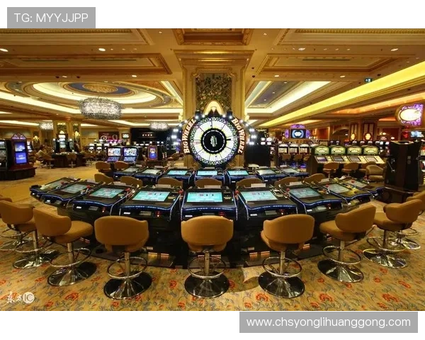 澳门十大博彩网站用户评价分析，真实体验助你做出明智选择