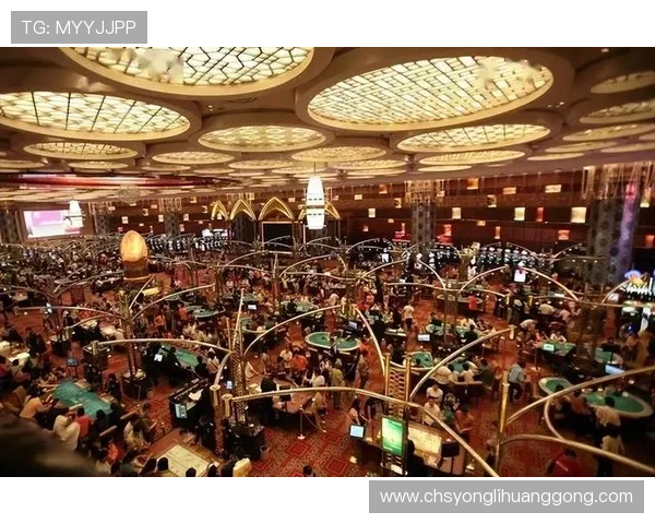 澳门各大赌厅排名2024最新版本，详细介绍最受玩家青睐的赌厅情况