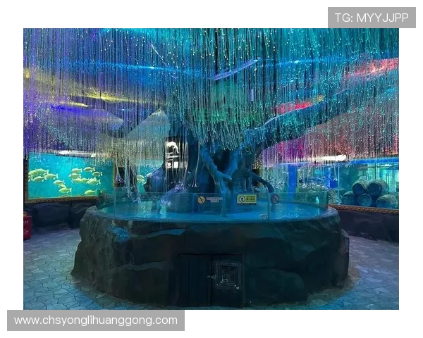 回力海立方娱乐场注册流程详解及新手入门必看攻略指南