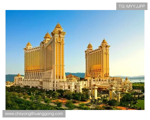 如何优化澳门博彩业占比结构以实现经济多元化发展的策略建议