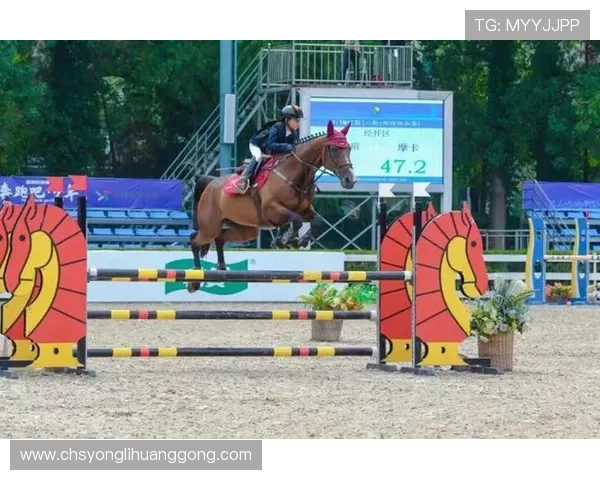 摩卡体育娱乐带你体验最全面的体育赛事直播与精彩赛事回放