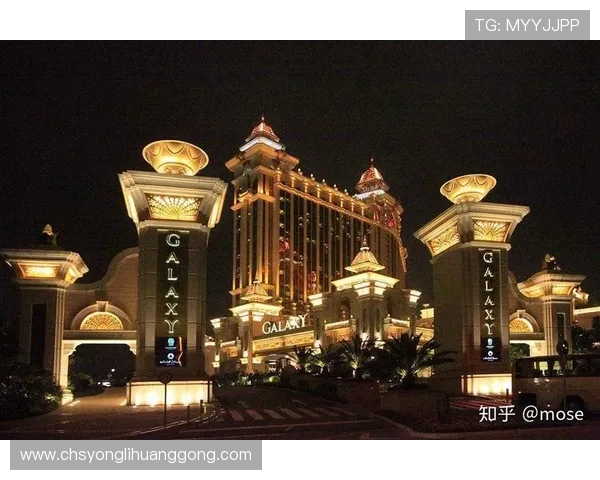 新濠国际发展官网全面介绍公司最新动态与发展战略，助你掌握行业前沿信息