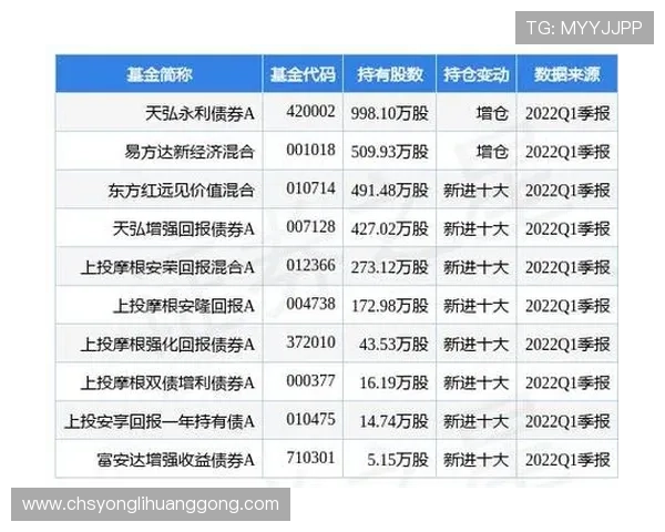 永利下载app安全保障措施详解，保障玩家个人信息与资金安全