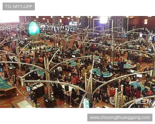 永利国际赌场真人娱乐游戏玩法详解带你体验真实赌场氛围