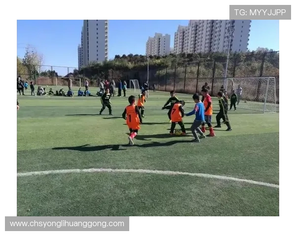 永利足球俱乐部在国内外比赛中的表现亮点与关键战术分析