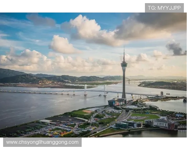 澳门博彩控股有限公司官网最新官方平台介绍与安全保障措施详解