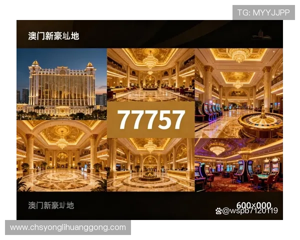 澳门新濠天地入口官方最新指南帮助玩家轻松登录畅玩体验全方位攻略