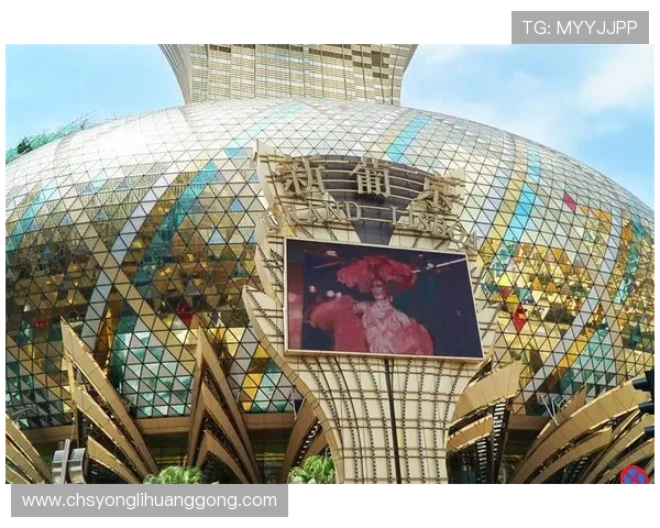 澳门永利公司在澳门博彩行业中的地位与竞争优势深度分析为投资者提供专业参考