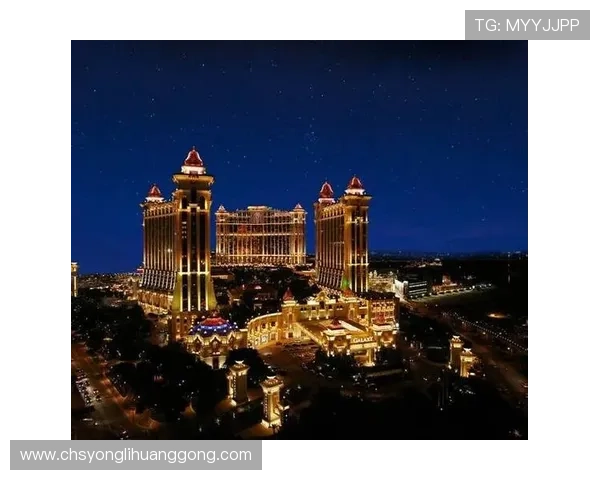 澳门永利娱乐项目全介绍让你玩转澳门永利的丰富娱乐设施