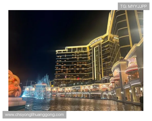 澳门永利集团在澳门地区的投资布局与区域经济发展的紧密关系分析