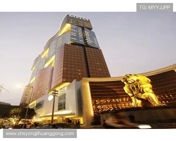 澳门美高梅线上开户安全保障措施全面解析确保用户资金与信息安全