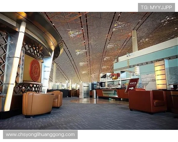 澳门贵宾厅和大厅的主要区别，了解不同空间的服务范围和使用目的