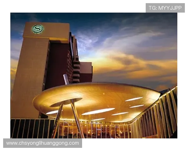 澳门规模最大的赌场如何打造世界一流的博彩娱乐中心，背后的成功秘诀揭秘